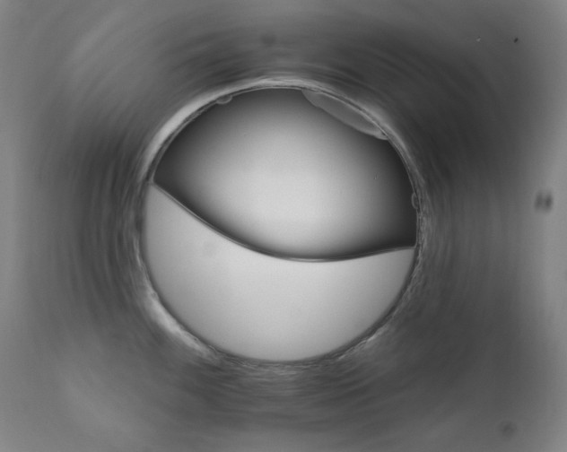 X0000111801100200907231204