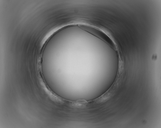 X0000111801101200907231204