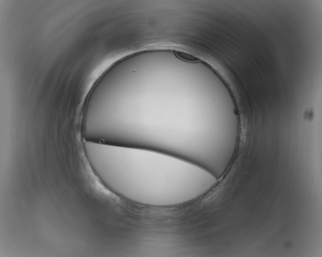 X0000111801102200907231204
