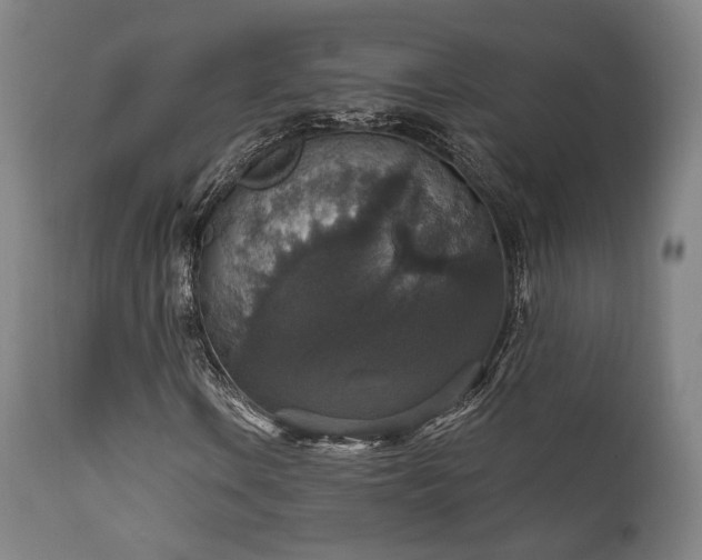 X0000111801106200907231203