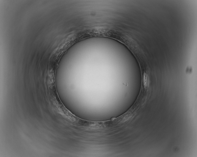 X0000111801107200907231203