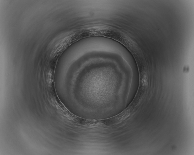 X0000111801108200907231203