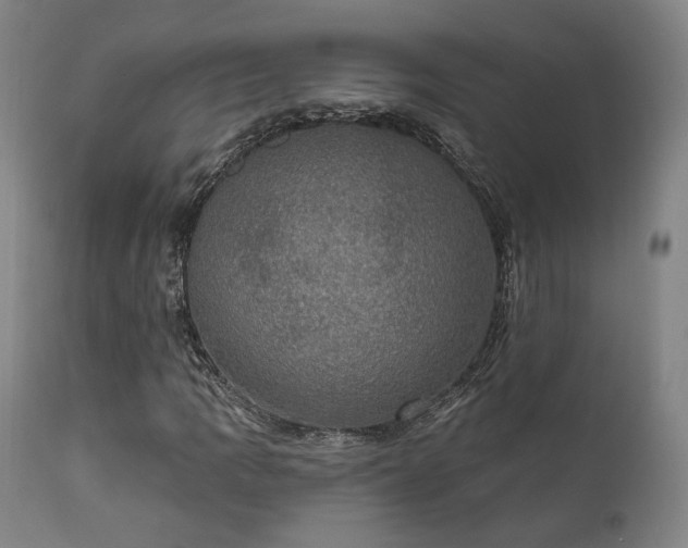 X0000111801109200907231203