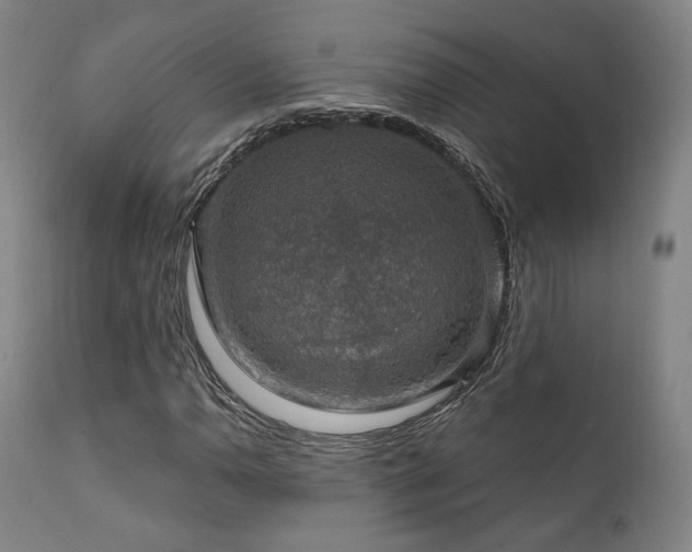 X0000111801110200907231203