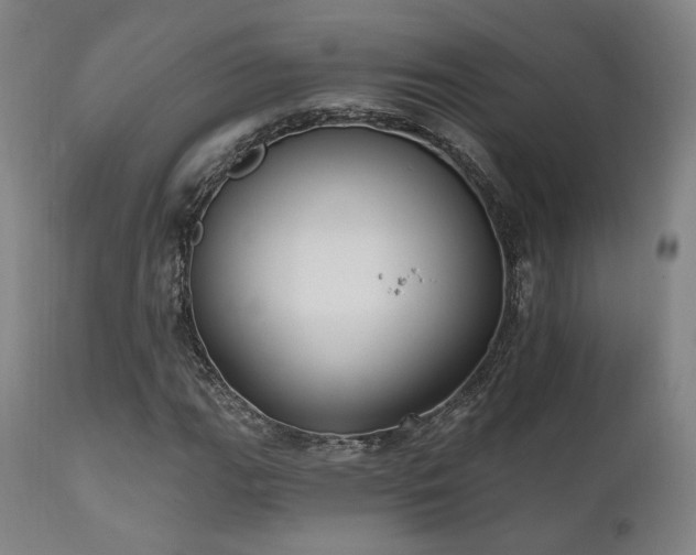 X0000111801111200907231203