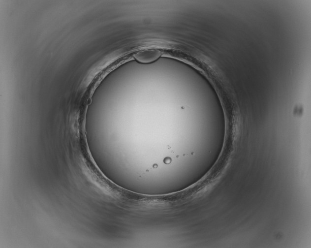 X0000111801113200907231203