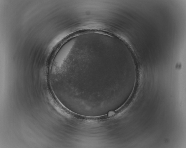 X0000111801114200907231203