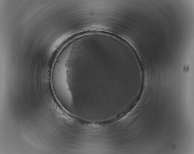 X0000111801115200907231203