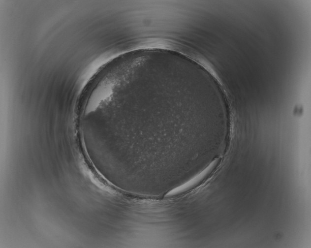 X0000111801116200907231203