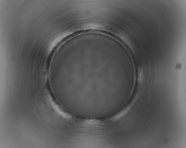 X0000111801117200907231203