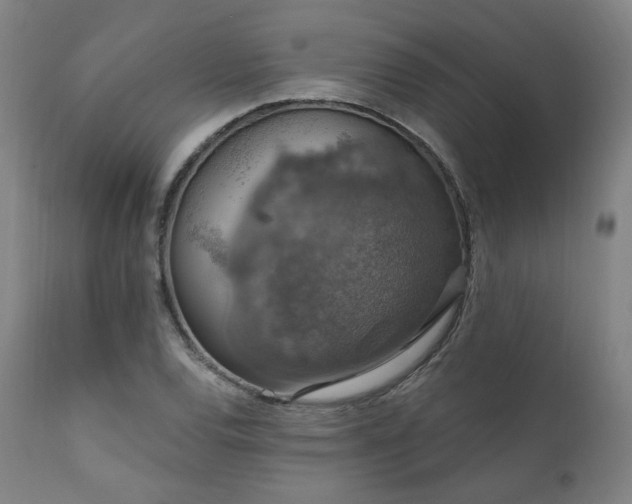 X0000111801120200907231203