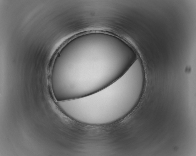X0000111801124200907231203