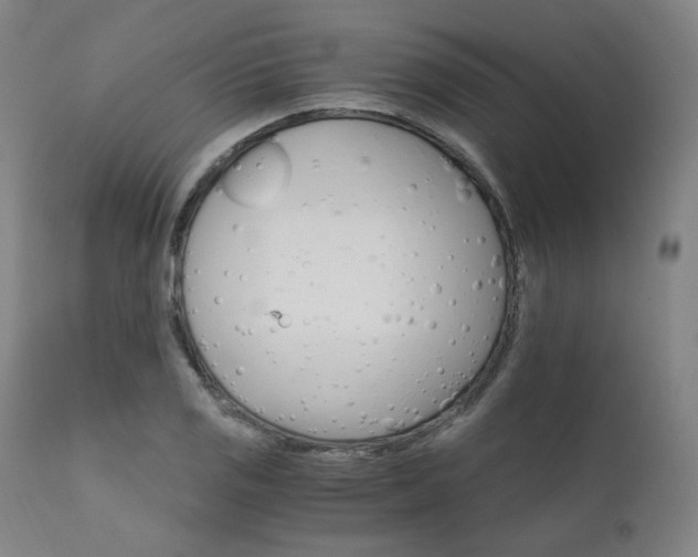 X0000111801125200907231203