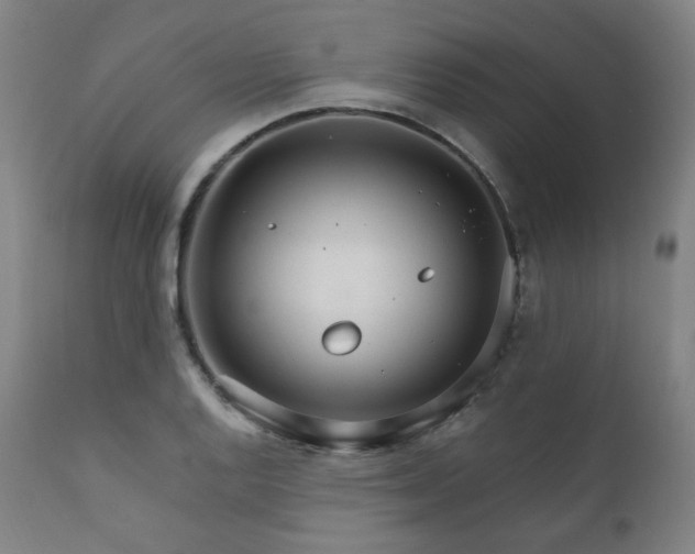 X0000111801128200907231203