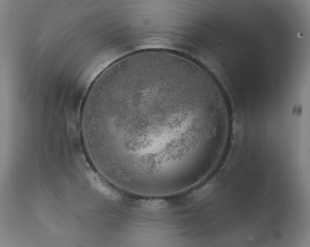 X0000111801129200907231203