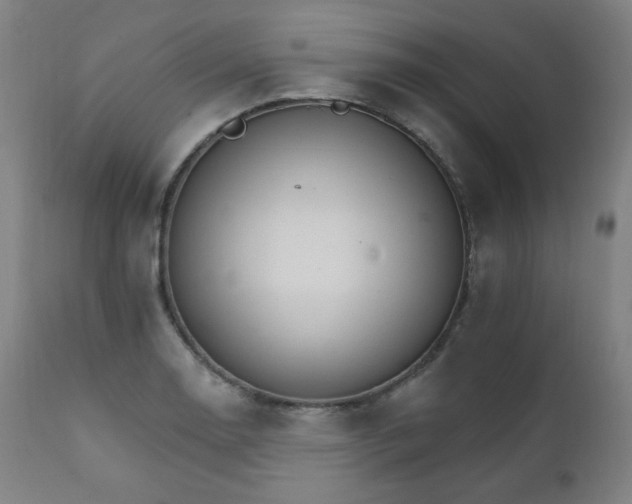 X0000111801130200907231203