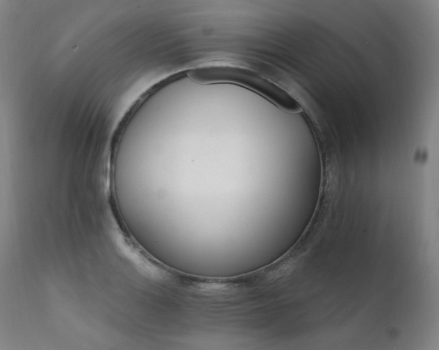 X0000111801132200907231204