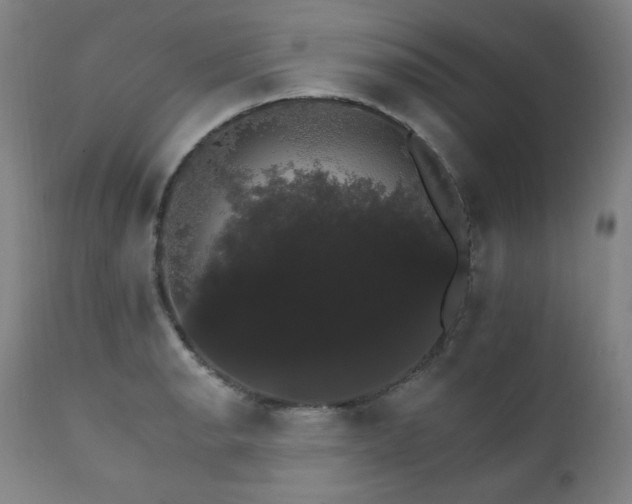 X0000111801134200907231204