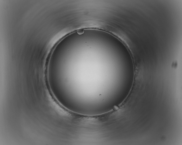 X0000111801135200907231204