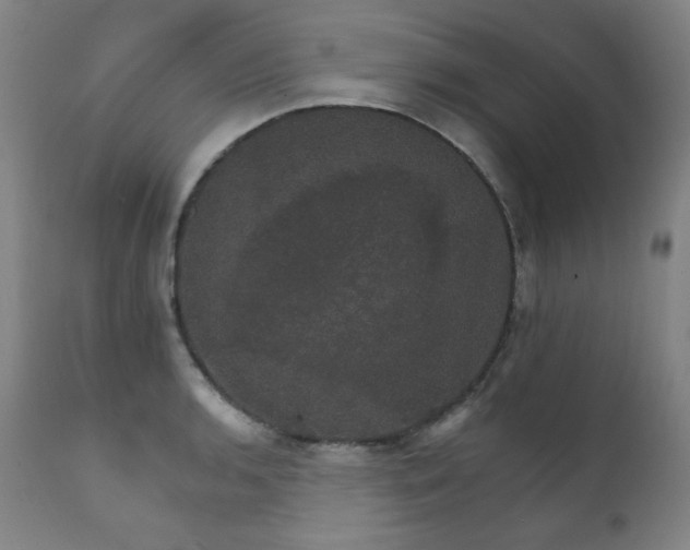 X0000111801136200907231204