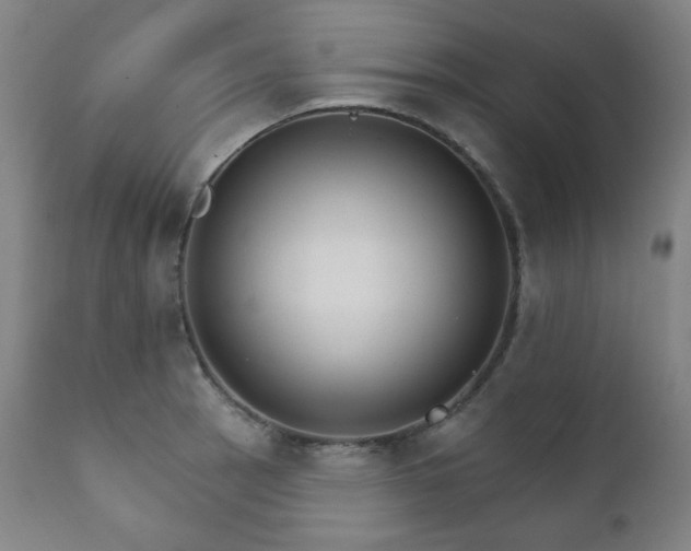 X0000111801137200907231204