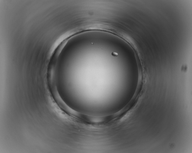 X0000111801138200907231204