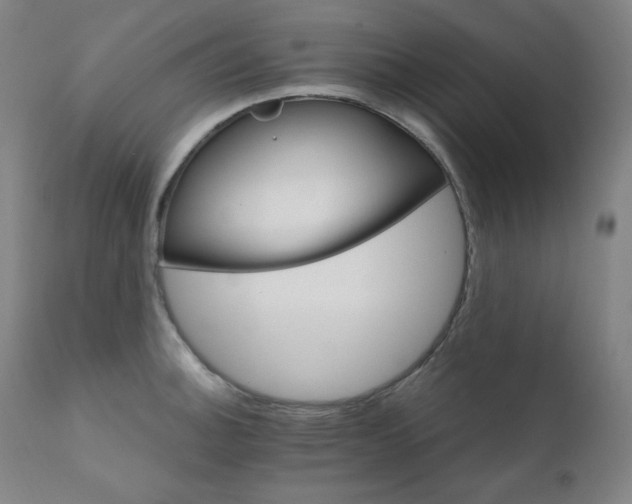 X0000111801140200907231204