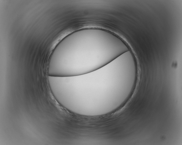 X0000111801145200907231204