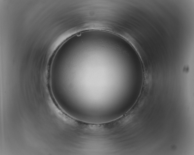 X0000111801147200907231204