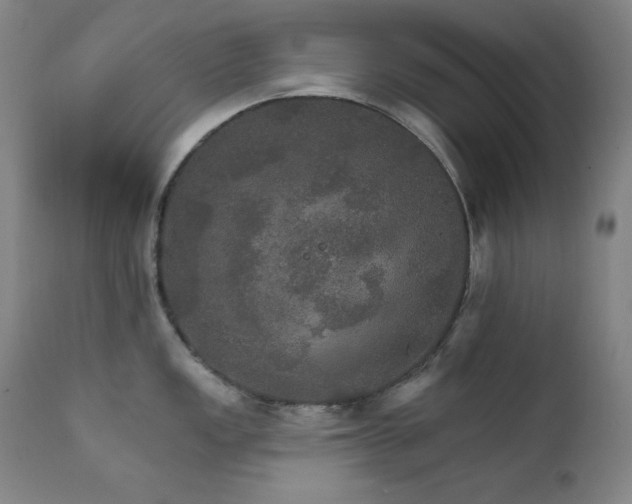 X0000111801149200907231204