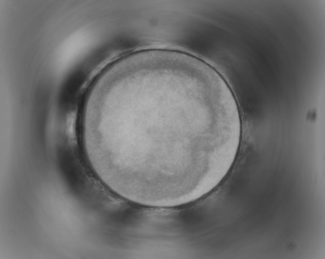 X0000111801150200907231204