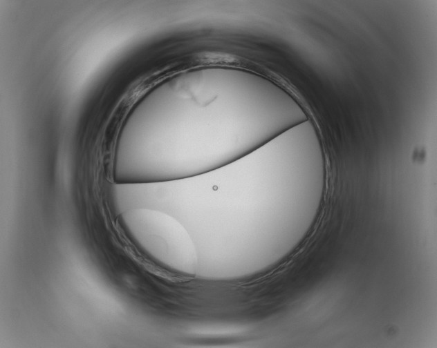 X0000111801151200907231204