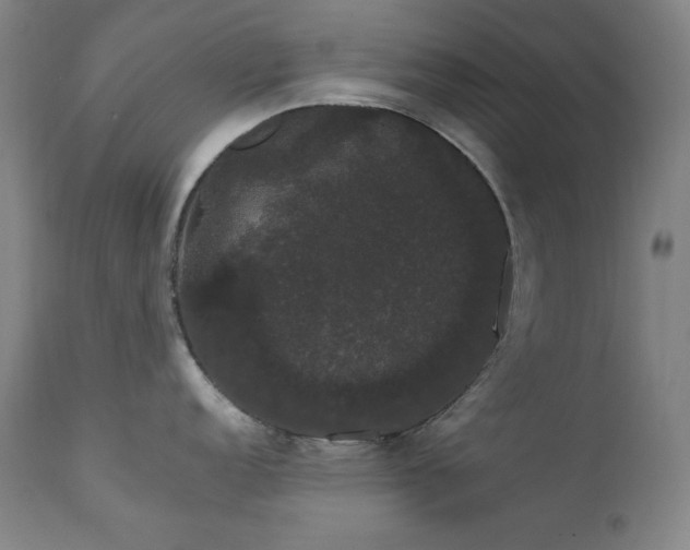 X0000111801152200907231204