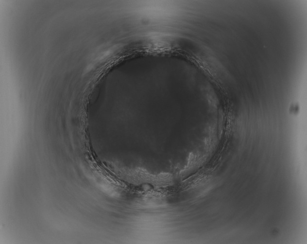 X0000111801153200907231203