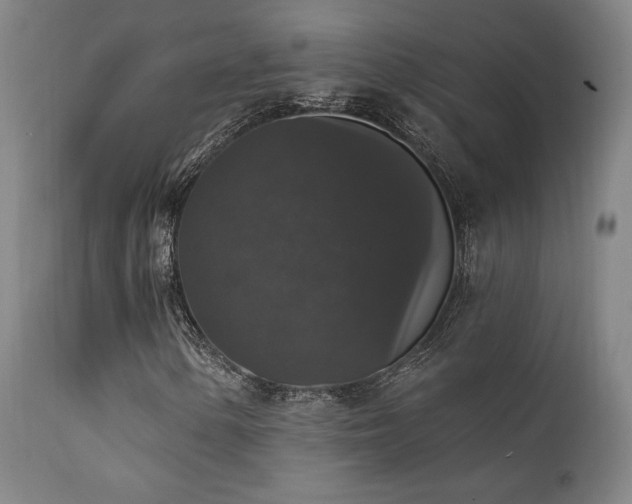 X0000111801154200907231203