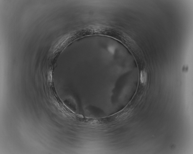 X0000111801155200907231203