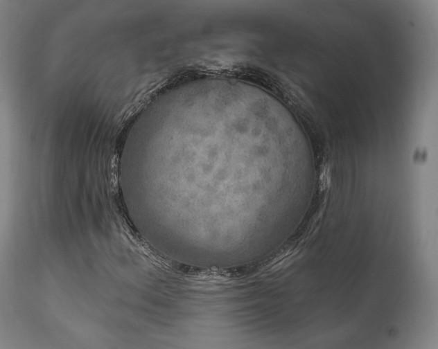 X0000111801156200907231203