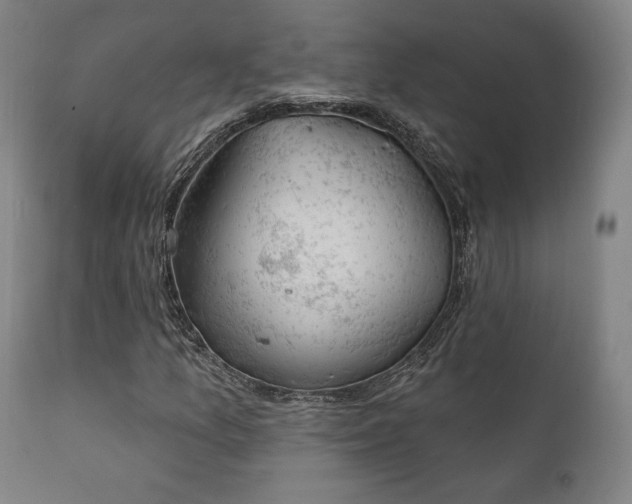 X0000111801157200907231203