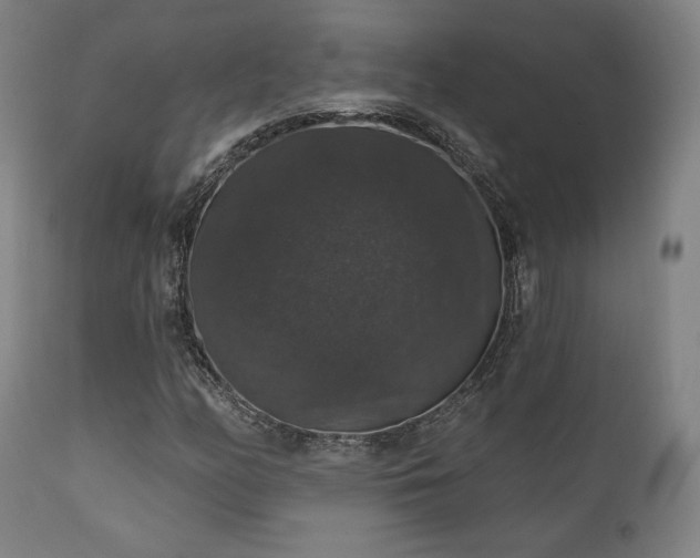X0000111801158200907231203