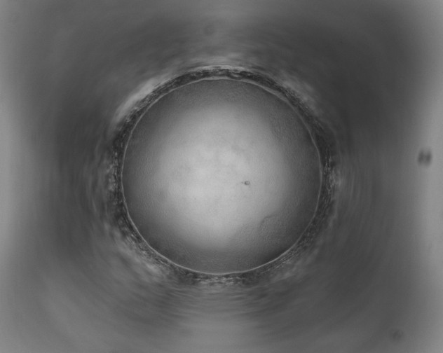 X0000111801159200907231203