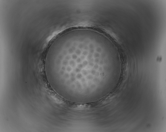 X0000111801160200907231203