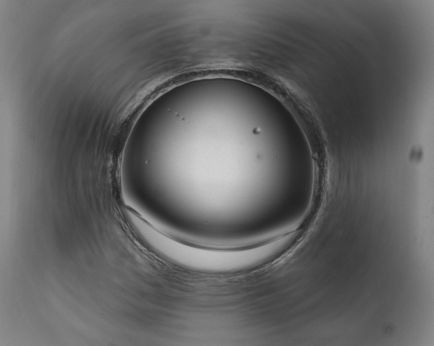 X0000111801161200907231203