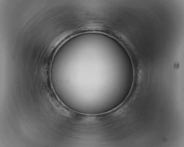 X0000111801162200907231203
