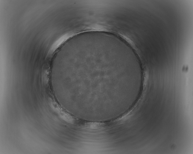 X0000111801163200907231203