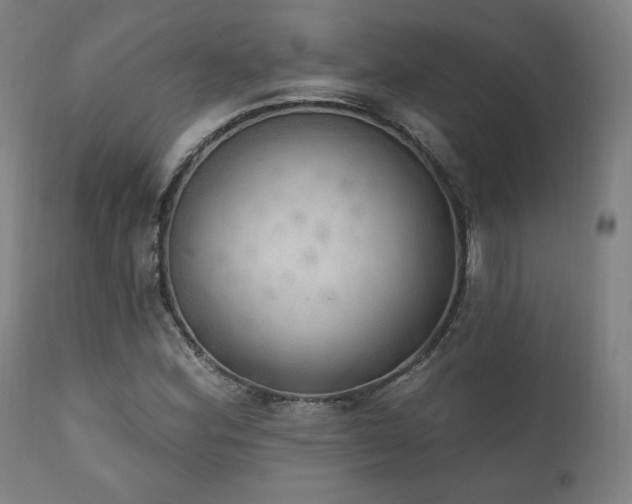 X0000111801164200907231203