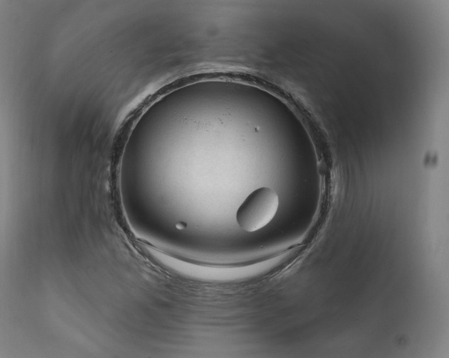 X0000111801165200907231203