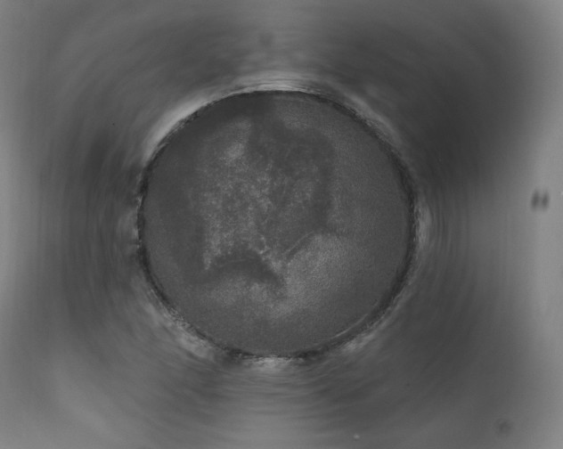 X0000111801166200907231203