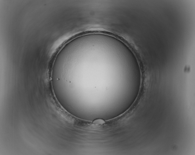 X0000111801167200907231203