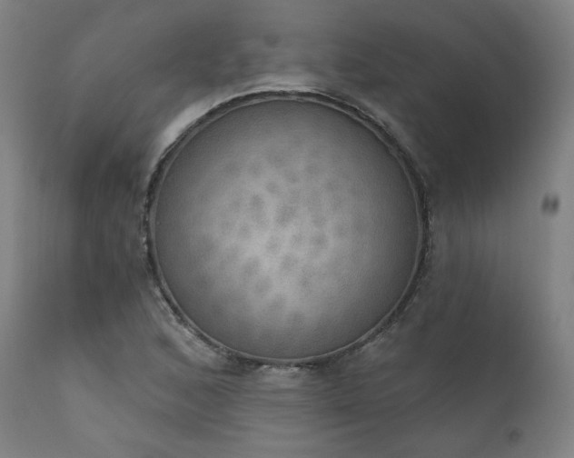 X0000111801168200907231203