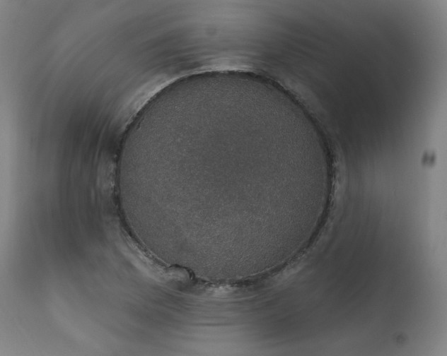 X0000111801169200907231203